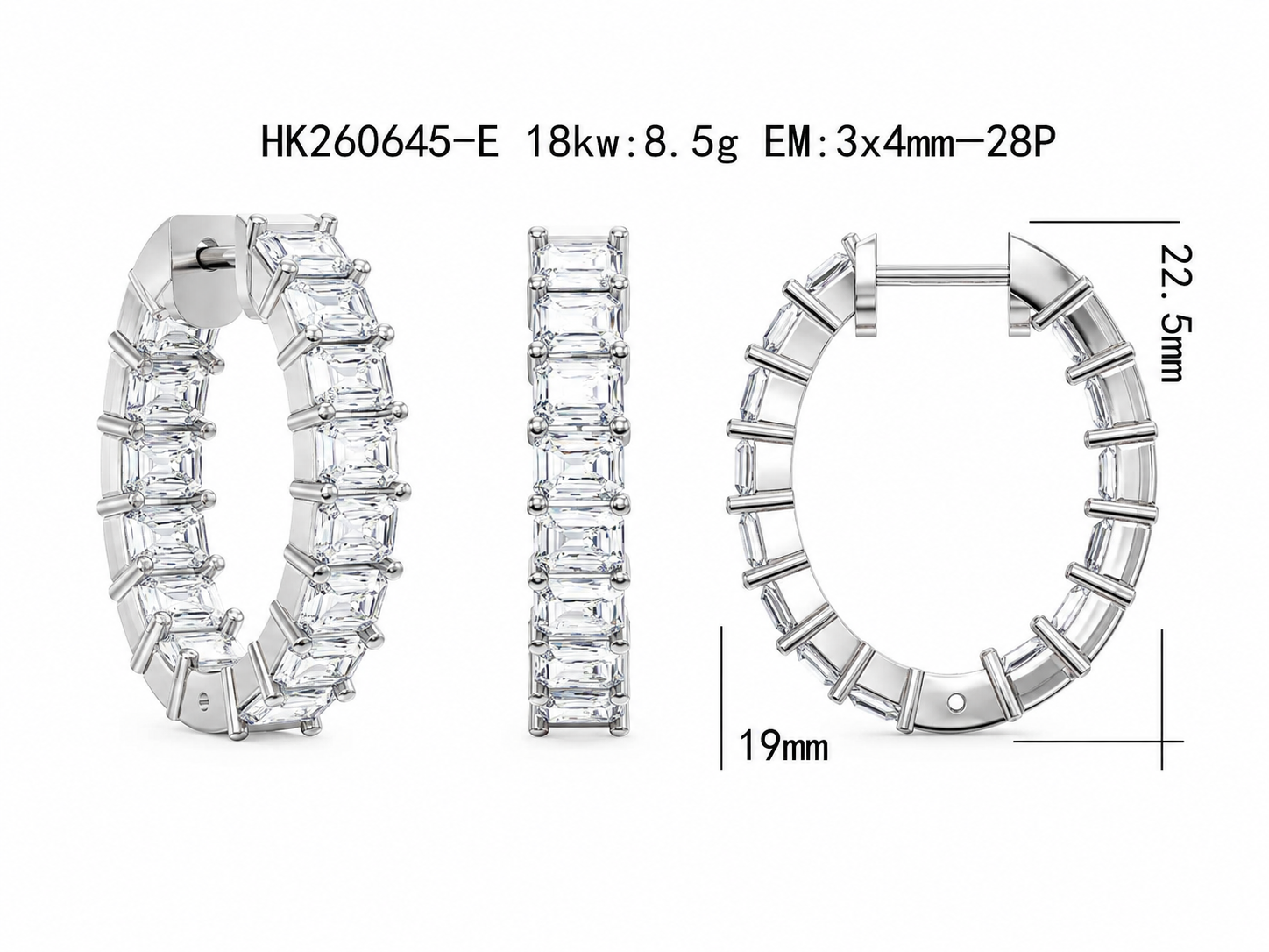 Diamond Earrings / HK260645-E